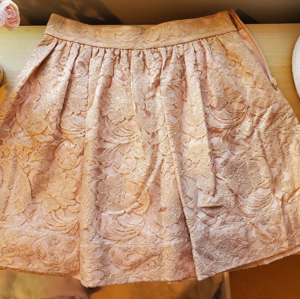 Banana Republic Rose Gold Lace Skirt Sz 6